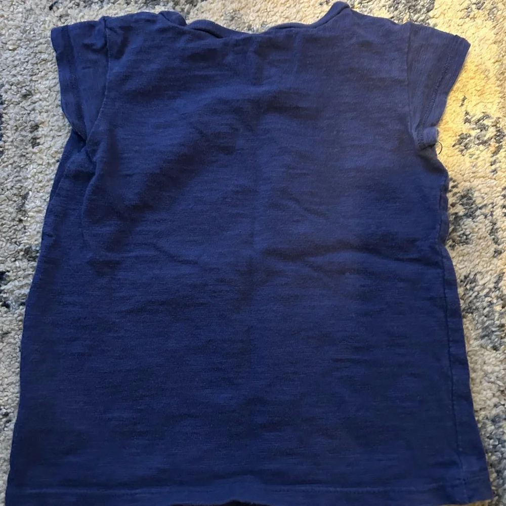 OshKosh B'gosh Blue Shirt with Pink Flowers